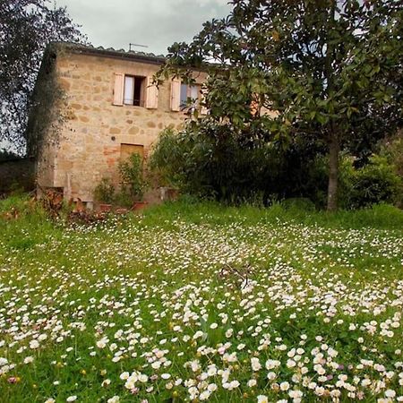 La Vigna Agriturismo Villa Siena Ngoại thất bức ảnh
