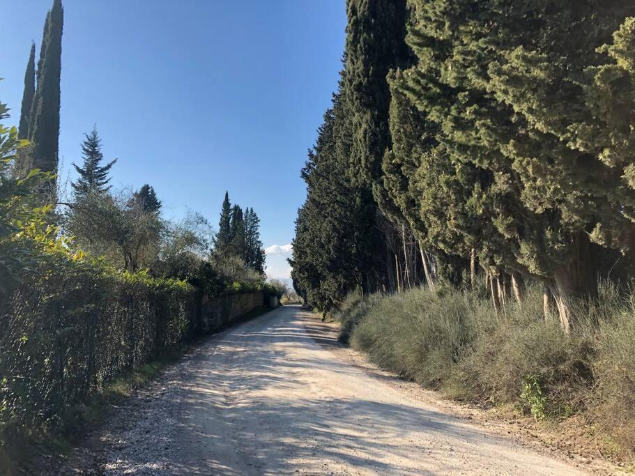 La Vigna Agriturismo Villa Siena Ngoại thất bức ảnh