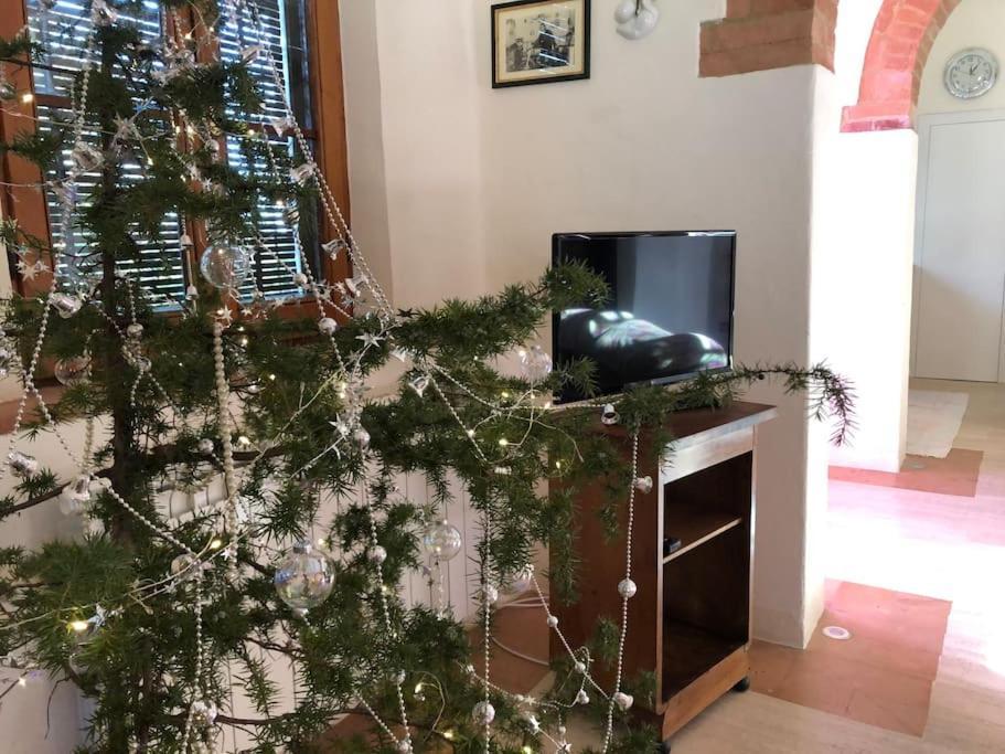 La Vigna Agriturismo Villa Siena Ngoại thất bức ảnh