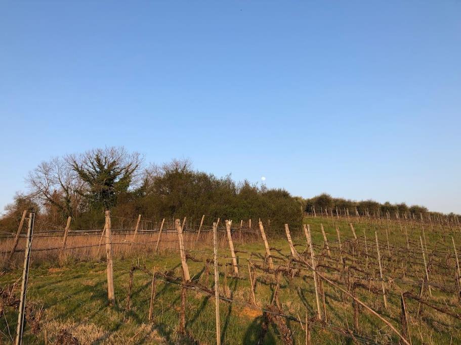 La Vigna Agriturismo Villa Siena Ngoại thất bức ảnh
