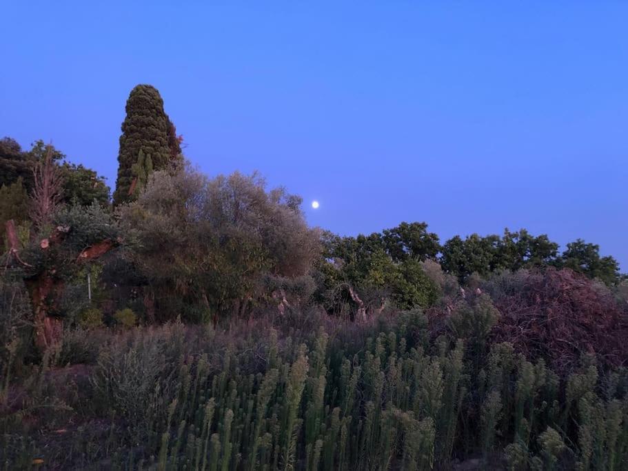La Vigna Agriturismo Villa Siena Ngoại thất bức ảnh