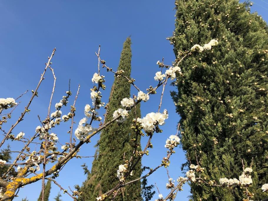 La Vigna Agriturismo Villa Siena Ngoại thất bức ảnh