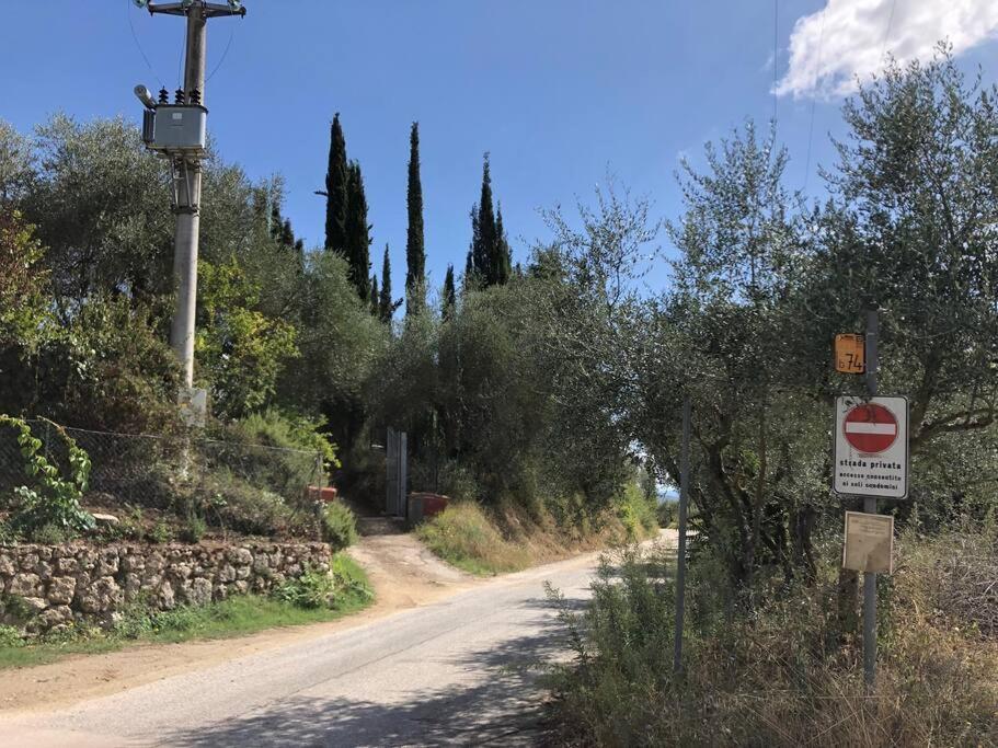 La Vigna Agriturismo Villa Siena Ngoại thất bức ảnh